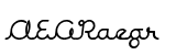 Expletive Script Regular Slant