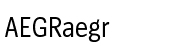 Spiegel Condensed Regular