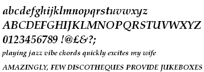 Palatino™ Bold Italic