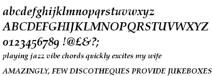 Palatino™ Bold Italic OsF