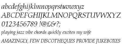 Palatino™ Light Italic