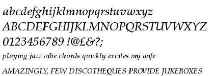 Palatino™ Medium Italic