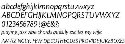 Cronos™ Pro Italic Display