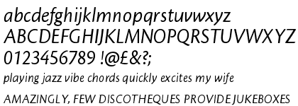 Cronos™ Pro Italic