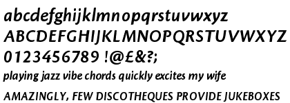 Cronos™ Pro Bold Italic