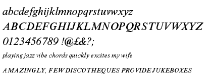 Times New Roman® Seven Italic