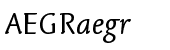 Linotype Syntax&reg; Letter Com Regular Italic