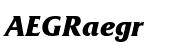 Friz Quadrata&trade; Bold Italic