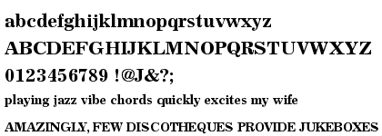 Excelsior™ Cyrillic Bold