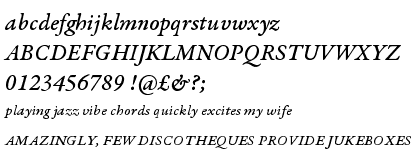 Garamond Premier Pro Medium Italic Caption