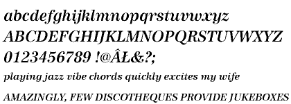 Antiqua URW 2020 CE Medium Italic