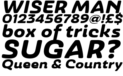 Ashemore Softened Extended Black Italic