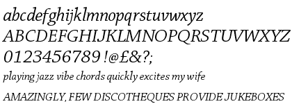 Chaparral&trade; Pro Italic Display