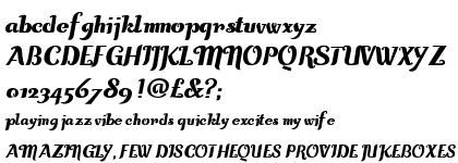 Curly Lady Heavy Italic