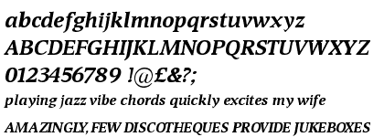 Devin&trade; Bold Italic