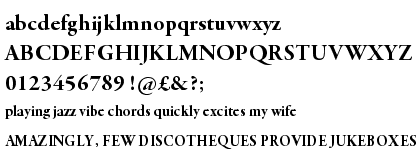 Garamond Premier Pro Bold Subhead