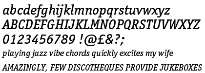 ITC Officina&trade; Pro Serif Medium Italic