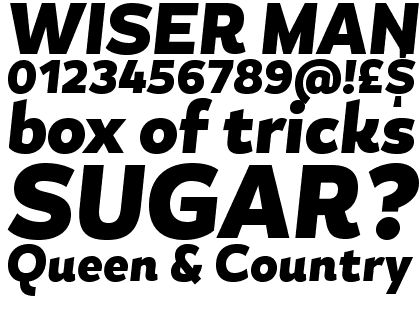 Magallanes Condensed Black Italic