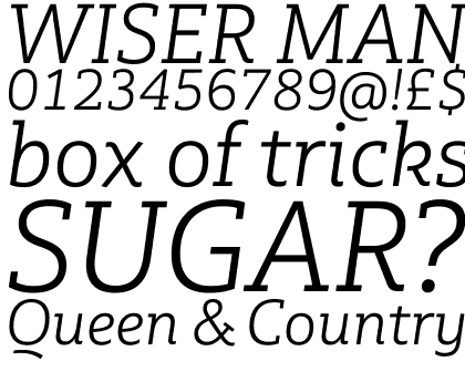 Multiple Slab Pro Light Italic