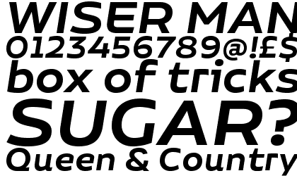 Niemeyer Semi Bold Italic