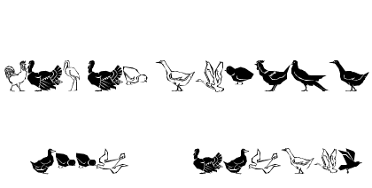 Polytype Birds One 