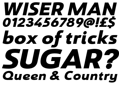 Savigny Black Extended Italic