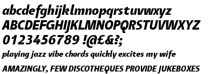 Tang Bold Italic