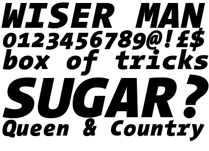 TheSans Mono Black Italic