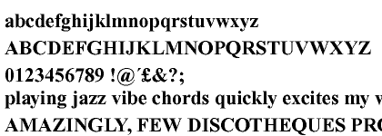 Times New Roman&reg; Bold