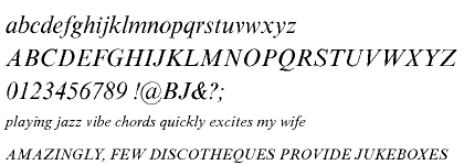 Times New Roman&reg; Cyrillic Inclined MT