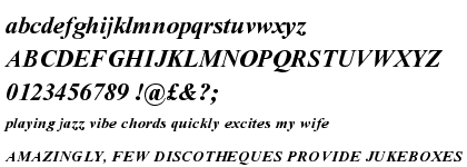 Times New Roman&reg; PS Bold Italic