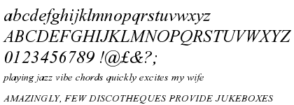 Times New Roman&reg; PS Italic