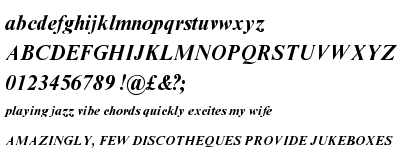 Times New Roman&reg; Pro Bold Italic