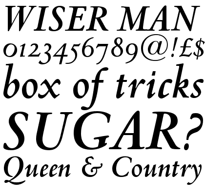 Venetian 301 Bold Italic