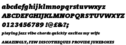 Vigor DT Black Italic