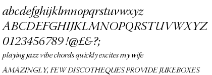 Warnock&trade; Pro Italic Display